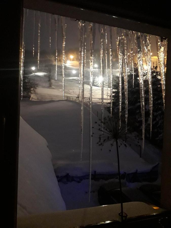 Zakopane - Harenda 13E Apartman Kültér fotó