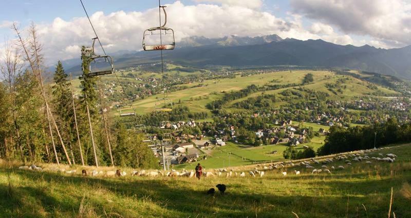 Zakopane - Harenda 13E Apartman Kültér fotó